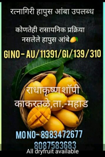 Radha Krushna Shopi Mango